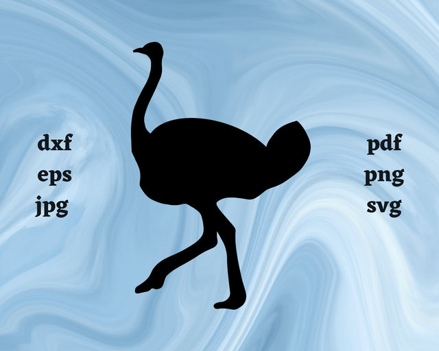 Ostrich SVG Cut File SVG Northern Light SVG 