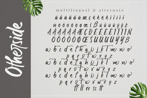 Otherside - Handwritten Script Font Font Ibey Design 