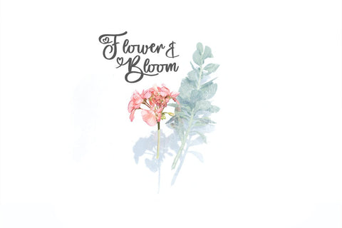 Our Friendship Font Font Jupiter Studio Fonts 