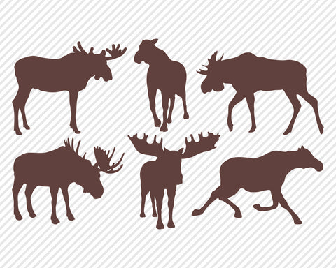 Outdoor Wildlife Bundle | Outdoor SVG SVG Texas Southern Cuts 