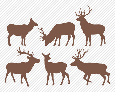 Outdoor Wildlife Bundle | Outdoor SVG SVG Texas Southern Cuts 
