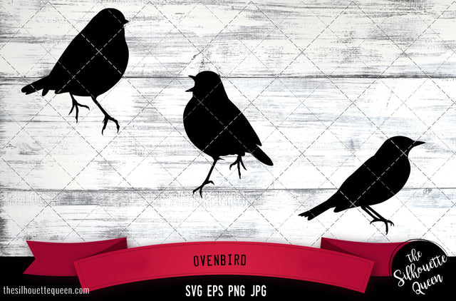 Ovenbird Silhouette Vector SVG SVG Loveleen Kaur 