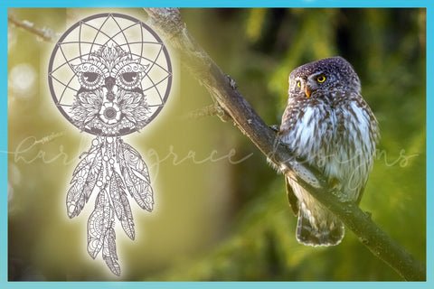 Owl Dreamcatcher Mandala Zentangle Only an Open Heart Can Catch A Dream Quote SVG SVG Harbor Grace Designs 