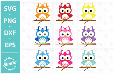 Owl Svg File, Owl on a branch Svg, Cute owl Svg, Png, Dxf, Eps SVG SailorMoonDigitals 