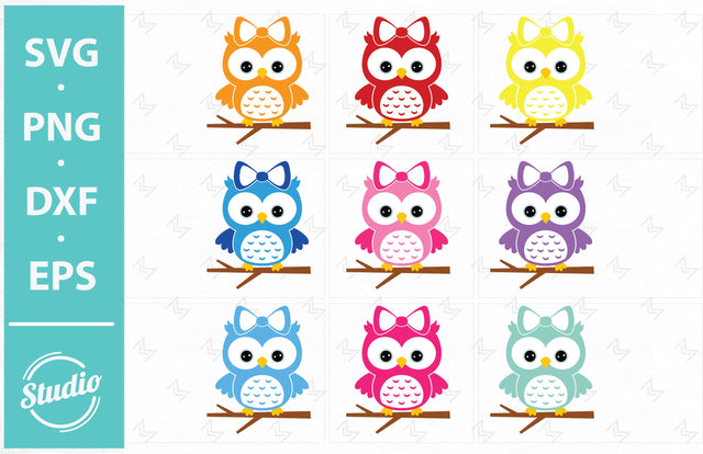 Owl Svg File, Owl on a branch Svg, Cute owl Svg, Png, Dxf, Eps SVG SailorMoonDigitals 