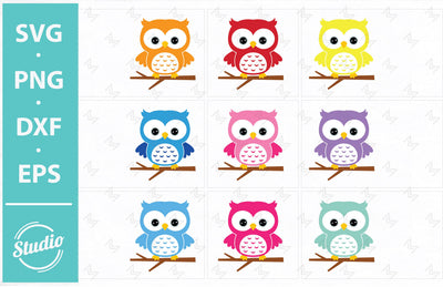 Owl Svg File, Owl on a branch Svg, Cute owl Svg, Png, Dxf, Eps. SVG SailorMoonDigitals 