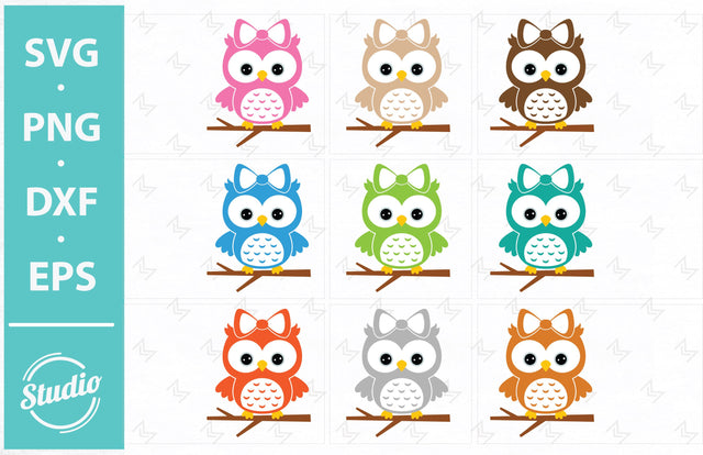 Owl Svg File, Owl on a branch Svg, Cute owl Svg, Png, Dxf, Eps. SVG SailorMoonDigitals 