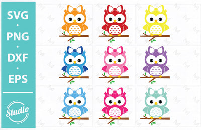 Owl Svg File, Owl on a branch Svg, Cute owl Svg, Png, Dxf, Eps. SVG SailorMoonDigitals 