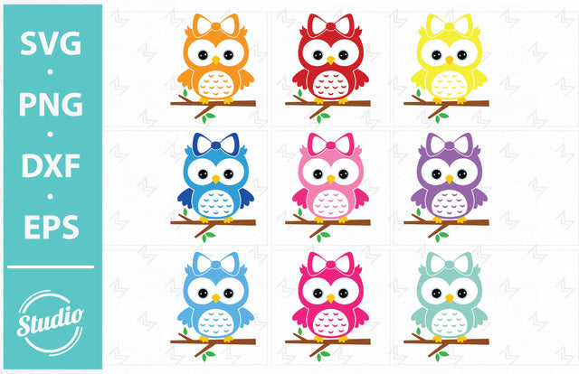 Owl Svg File, Owl on a branch Svg, Cute owl Svg, Png, Dxf, Eps. SVG SailorMoonDigitals 