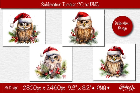 Owl Tumbler Xmas Tumbler wrap png 20 Oz sublimation design Christmas Tumbler Bundle Sublimation Createya Design 