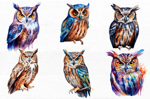 Owl Watercolor Clipart Sublimation Regulrcrative 