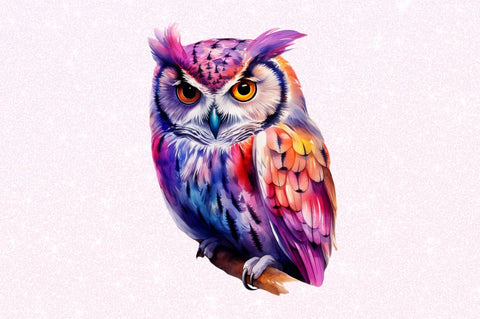 Owl Watercolor Clipart Sublimation Regulrcrative 