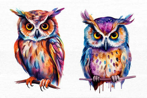 Owl Watercolor Clipart Sublimation Regulrcrative 