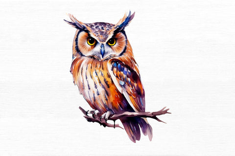 Owl Watercolor Clipart Sublimation Regulrcrative 