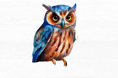 Owl Watercolor Clipart Sublimation Regulrcrative 