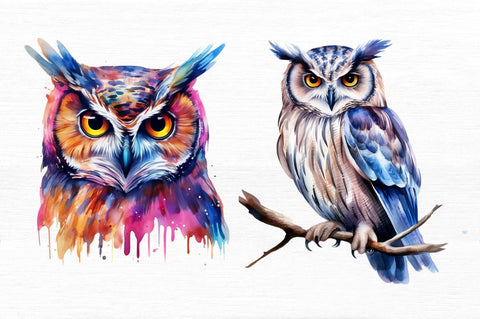 Owl Watercolor Clipart Sublimation Regulrcrative 