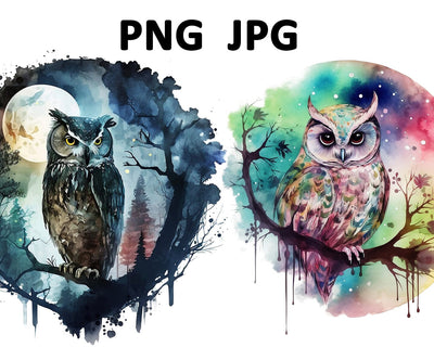 Owl Watercolor Sublimation Clipart PNG JPG Sublimation nikola 