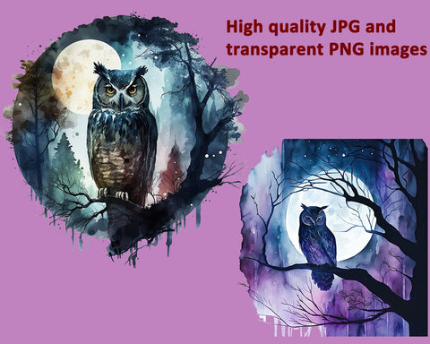 Owl Watercolor Sublimation Clipart PNG JPG Sublimation nikola 