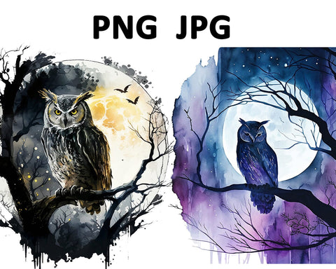 Owl Watercolor Sublimation Clipart PNG JPG Sublimation nikola 