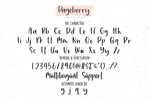 Pageberry Font Qwrtype Foundry 