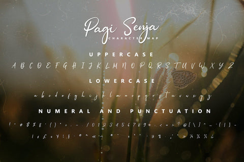 Pagi Senja - Calligraphy Font Font StringLabs 