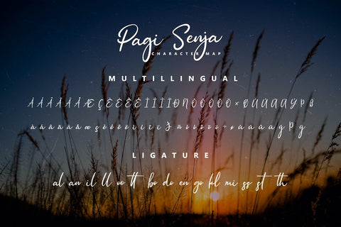 Pagi Senja - Calligraphy Font Font StringLabs 