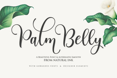 Palm Belly Script Font Studio Natural Ink 