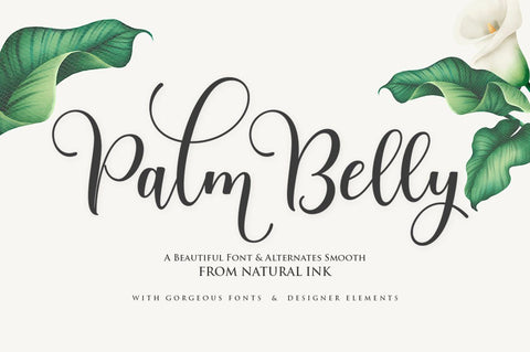 Palm Belly Script Font Studio Natural Ink 