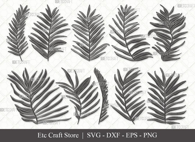 Palm Leaves Silhouette SVG Cut File | Palm Leaf Svg | Monstera Leaf Svg | Plants Svg | Palm Tree Leaves Bundle | Tropical Leaves SVG | Eps | Dxf | Png | SVG ETC Craft 