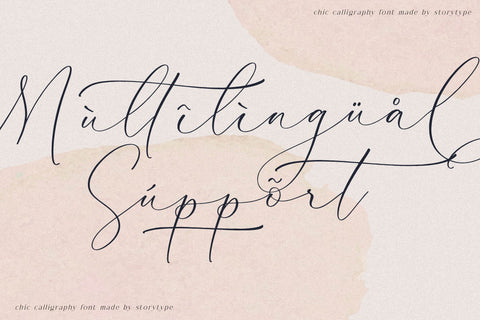 Palmer Corella - Chic Calligraphy Font Font Storytype Studio 