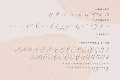 Palmer Corella - Chic Calligraphy Font Font Storytype Studio 