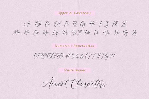 Palmera Emilia Font Aestherica Studio 