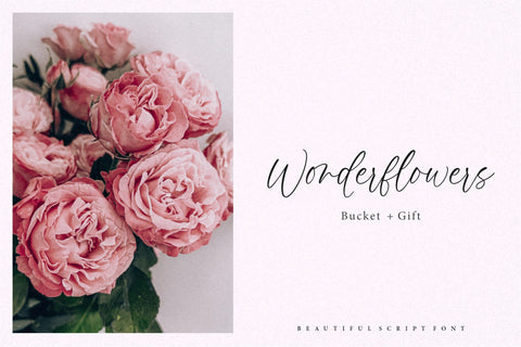 Palmera Emilia Font Aestherica Studio 