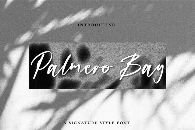 Palmero Bay Font Font Jupiter Studio Fonts 