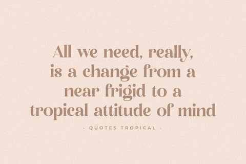 palmtick Typeface Font Storytype Studio 