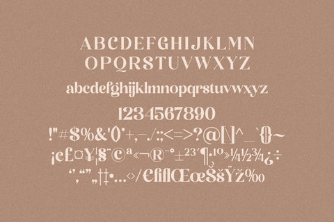 palmtick Typeface Font Storytype Studio 