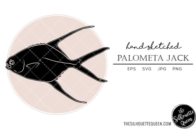 Palometa Jack Hand sketched, hand drawn vector clipart SVG Loveleen Kaur 