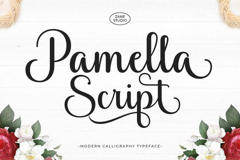Pamella Script Font Zane Studio55 