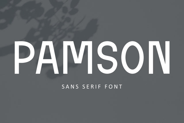 Pamson - Sans Serif Font Font Illushvara Design 