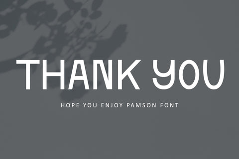 Pamson - Sans Serif Font Font Illushvara Design 