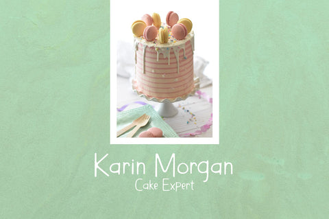 Panoramind Display Font Font Fadeline Std. 