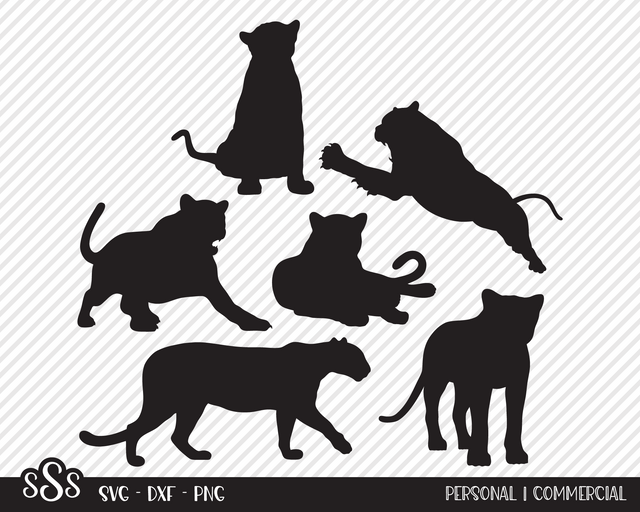 Panther Bundle | Outdoor SVG SVG Texas Southern Cuts 