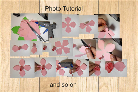 Paper Flower Template Bundle, Rose Templates SVG SVG Yuliya 