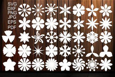 Paper Flower Templates SVG, Flower Center SVG SVG Yuliya 