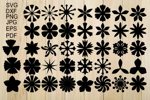 Paper Flower Templates SVG, Flower Center SVG SVG Yuliya 