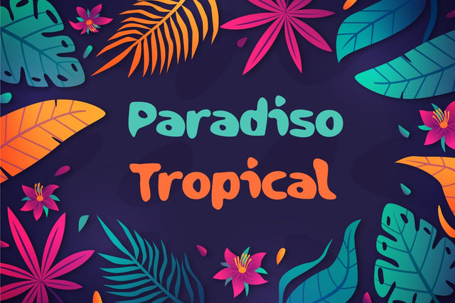 Paradiso Tropical Summer Font Font ampersand 
