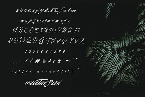 Paraside Font goodigital_13 