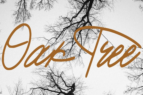 Paraside Font goodigital_13 