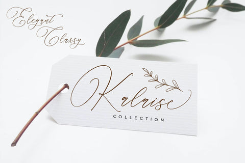 Parmidass Elarista - Luxury Script Font Font Storytype Studio 