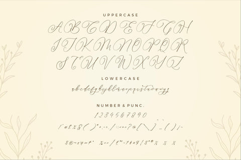 Parmidass Elarista - Luxury Script Font Font Storytype Studio 